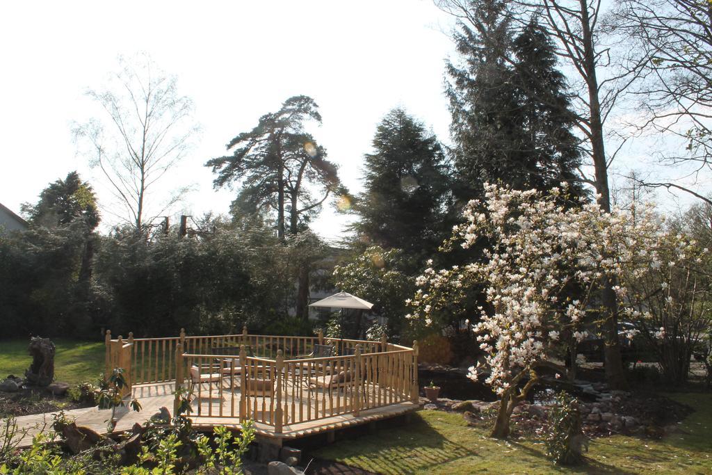 Meadfoot Guesthouse Room Only Accommodation For Adults Windermere Δωμάτιο φωτογραφία
